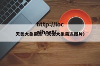 天美大象果冻（天美大象果冻图片）